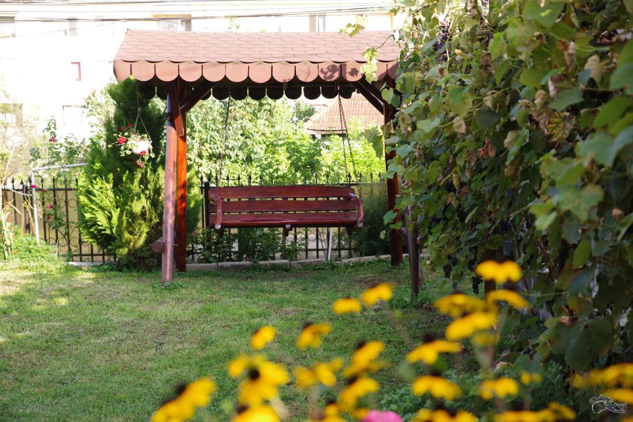 Pensiunea Irina Brad  Dış mekan fotoğraf